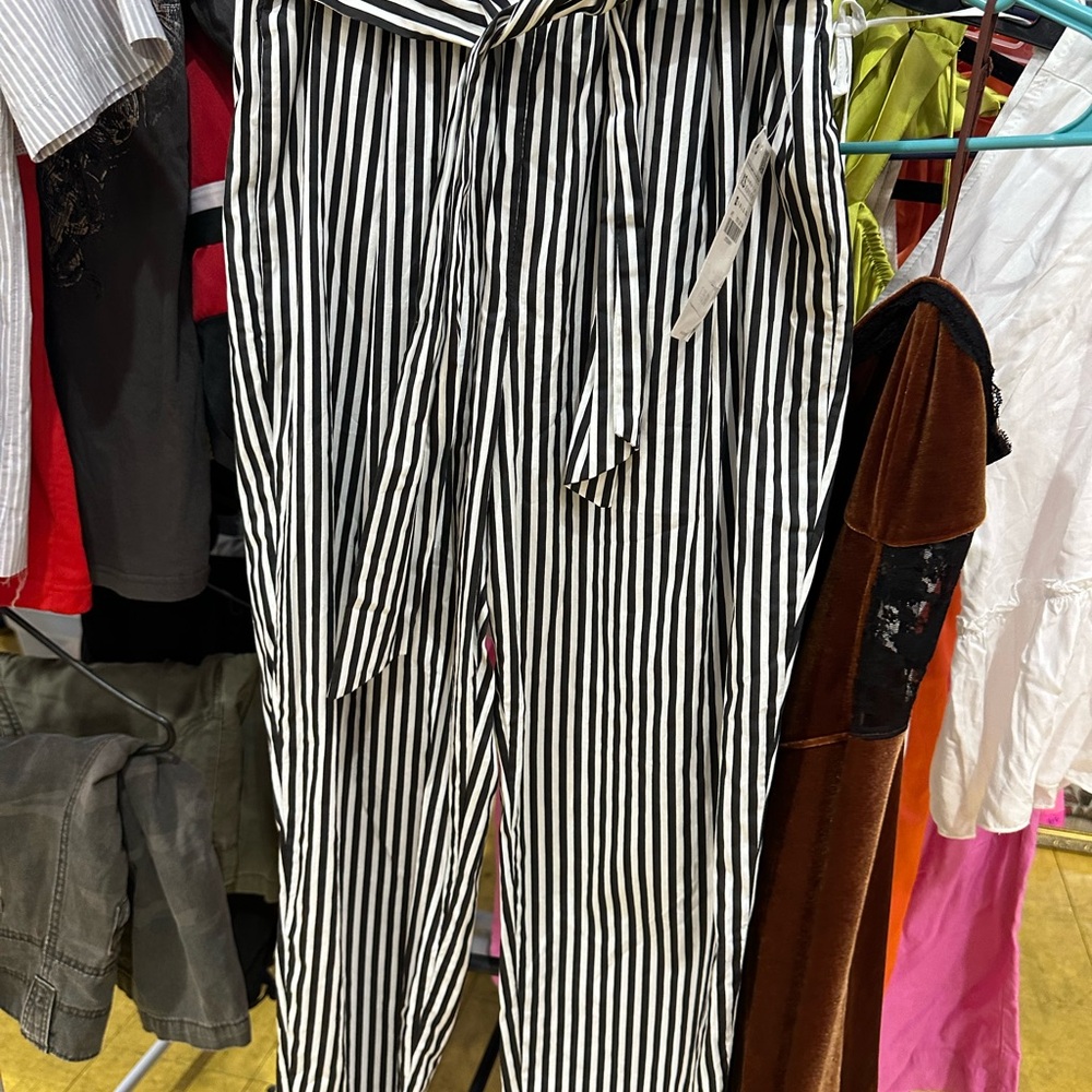 Zara Basic Black and White Striped Pants
